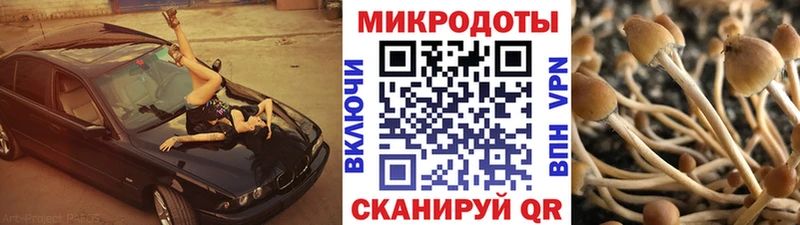 мега зеркало  Смоленск  Псилоцибиновые грибы Cubensis 
